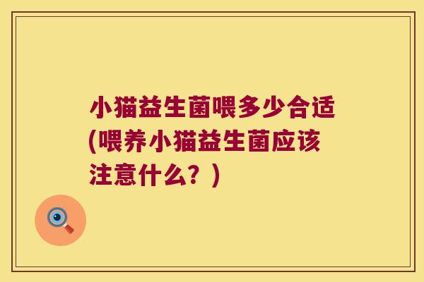 小猫益生菌喂多少合适(喂养小猫益生菌应该注意什么？)