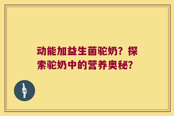 动能加益生菌驼奶？探索驼奶中的营养奥秘？