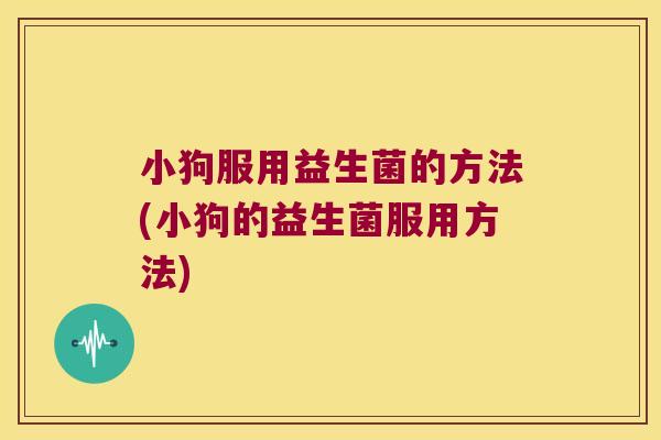 小狗服用益生菌的方法(小狗的益生菌服用方法)