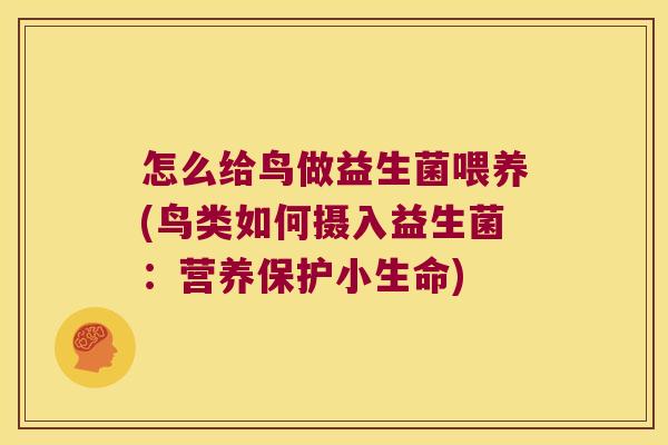 怎么给鸟做益生菌喂养(鸟类如何摄入益生菌：营养保护小生命)