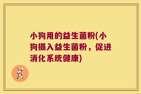 小狗用的益生菌粉(小狗摄入益生菌粉，促进消化系统健康)