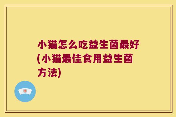 小猫怎么吃益生菌最好(小猫最佳食用益生菌方法)