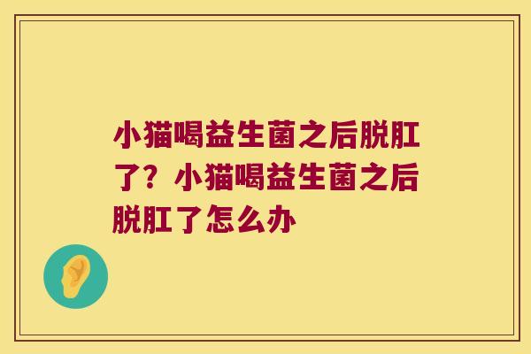 小猫喝益生菌之后脱肛了？小猫喝益生菌之后脱肛了怎么办