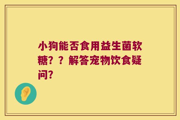 小狗能否食用益生菌软糖？？解答宠物饮食疑问？