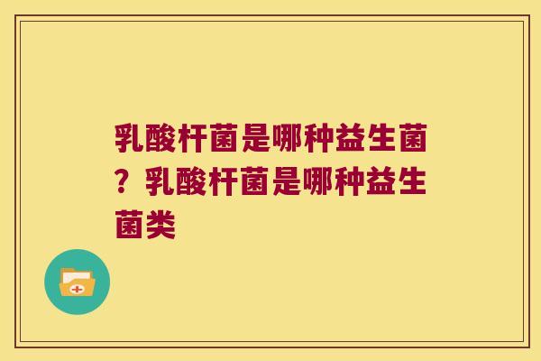 乳酸杆菌是哪种益生菌？乳酸杆菌是哪种益生菌类