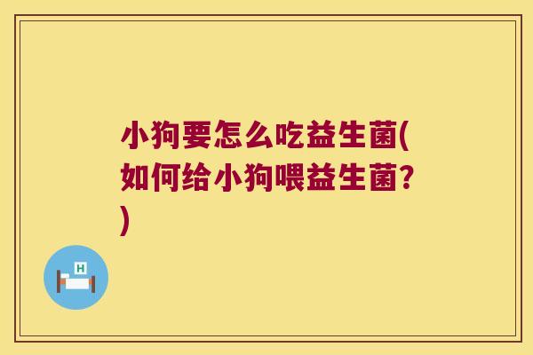 小狗要怎么吃益生菌(如何给小狗喂益生菌？)