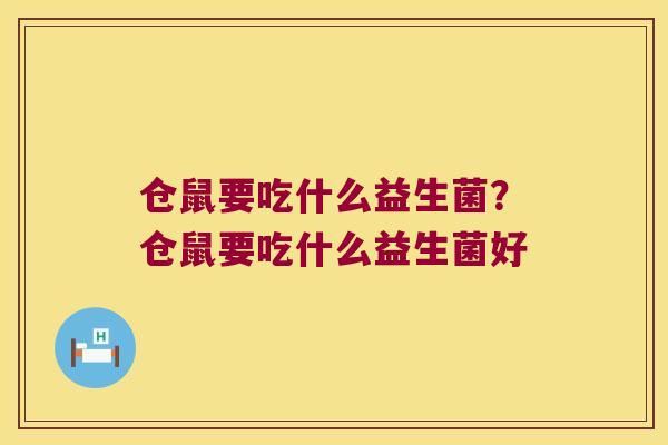 仓鼠要吃什么益生菌？仓鼠要吃什么益生菌好
