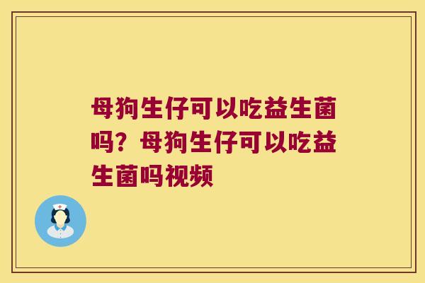 母狗生仔可以吃益生菌吗？母狗生仔可以吃益生菌吗视频