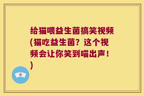 给猫喂益生菌搞笑视频(猫吃益生菌?这个视频会让你笑到喵出声!) 给猫喂益生菌搞笑视频(猫吃益生菌?这个视频会让你笑到喵出声!)