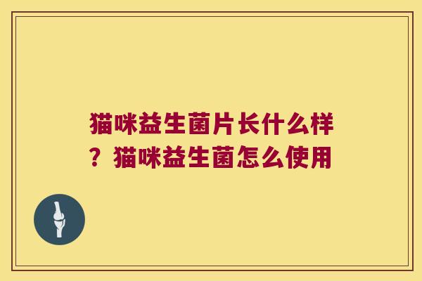 猫咪益生菌片长什么样？猫咪益生菌怎么使用