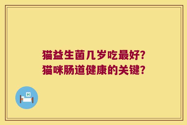 猫益生菌几岁吃最好？猫咪肠道健康的关键？