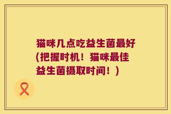猫咪几点吃益生菌最好(把握时机！猫咪最佳益生菌摄取时间！)