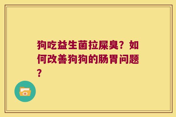 狗吃益生菌拉屎臭？如何改善狗狗的肠胃问题？