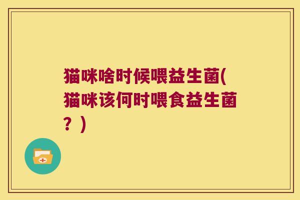 猫咪啥时候喂益生菌(猫咪该何时喂食益生菌？)