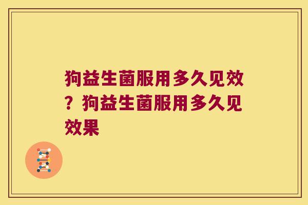 狗益生菌服用多久见效？狗益生菌服用多久见效果