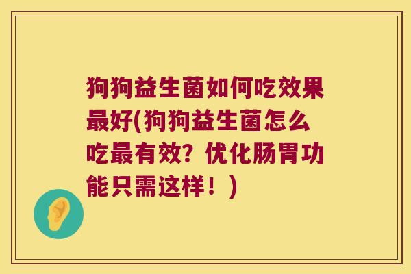 狗狗益生菌如何吃效果最好(狗狗益生菌怎么吃最有效？优化肠胃功能只需这样！)