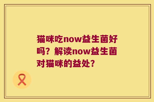 猫咪吃now益生菌好吗？解读now益生菌对猫咪的益处？