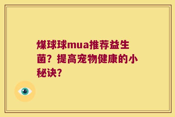 煤球球mua推荐益生菌？提高宠物健康的小秘诀？