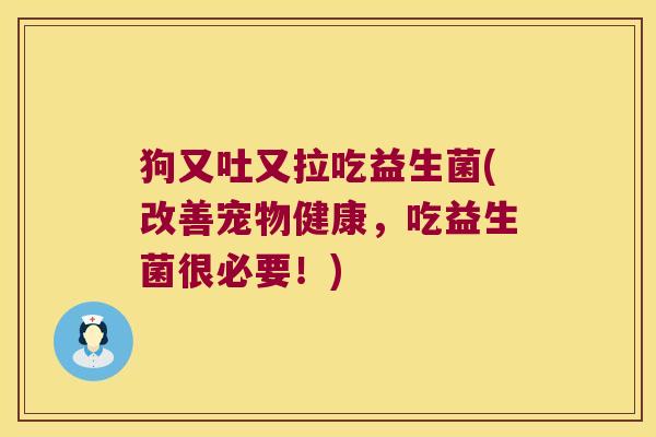 狗又吐又拉吃益生菌(改善宠物健康,吃益生菌很必要!) 狗又吐又拉吃益生菌(改善宠物健康,吃益生菌很必要!)
