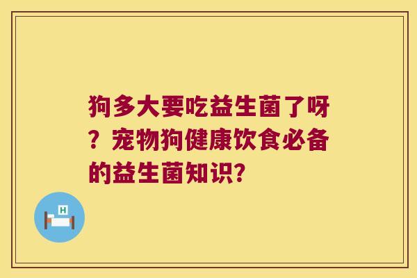 狗多大要吃益生菌了呀？宠物狗健康饮食必备的益生菌知识？
