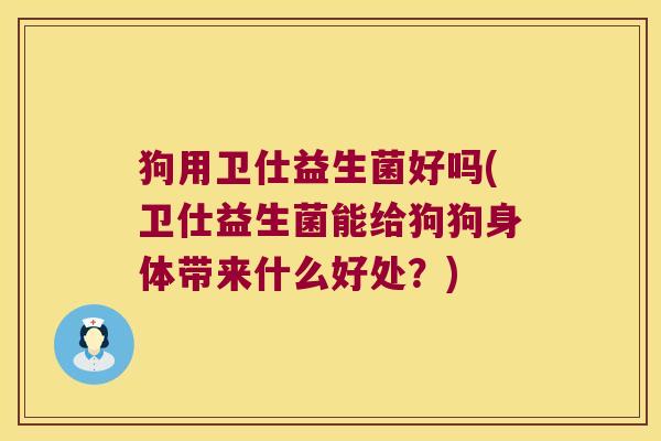狗用卫仕益生菌好吗(卫仕益生菌能给狗狗身体带来什么好处？)