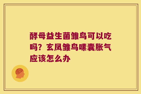 酵母益生菌雏鸟可以吃吗？玄凤雏鸟嗉囊胀气应该怎么办