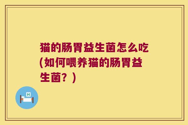 猫的肠胃益生菌怎么吃(如何喂养猫的肠胃益生菌？)