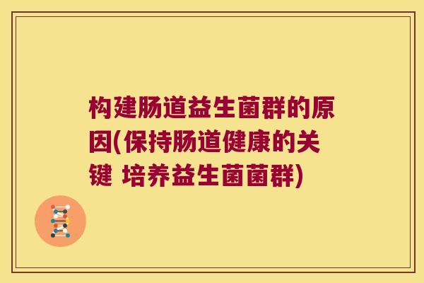 构建肠道益生菌群的原因(保持肠道健康的关键 培养益生菌菌群)