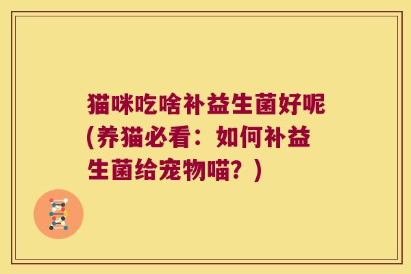 猫咪吃啥补益生菌好呢(养猫必看:如何补益生菌给宠物喵?) 猫咪吃啥补益生菌好呢(养猫必看:如何补益生菌给宠物喵?)
