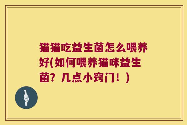 猫猫吃益生菌怎么喂养好(如何喂养猫咪益生菌？几点小窍门！)