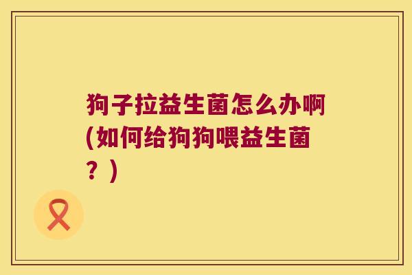 狗子拉益生菌怎么办啊(如何给狗狗喂益生菌?) 狗子拉益生菌怎么办啊(如何给狗狗喂益生菌?)