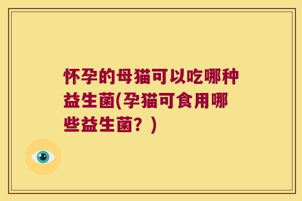 怀孕的母猫可以吃哪种益生菌(孕猫可食用哪些益生菌？)