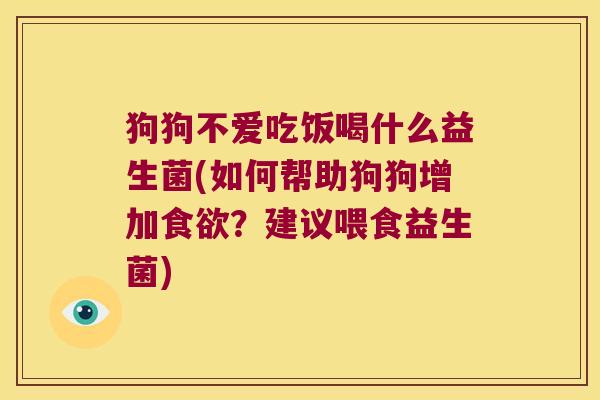狗狗不爱吃饭喝什么益生菌(如何帮助狗狗增加食欲？建议喂食益生菌)