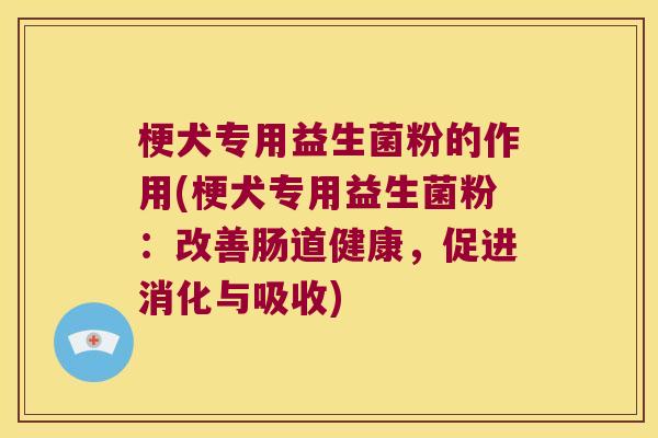 梗犬专用益生菌粉的作用(梗犬专用益生菌粉：改善肠道健康，促进消化与吸收)