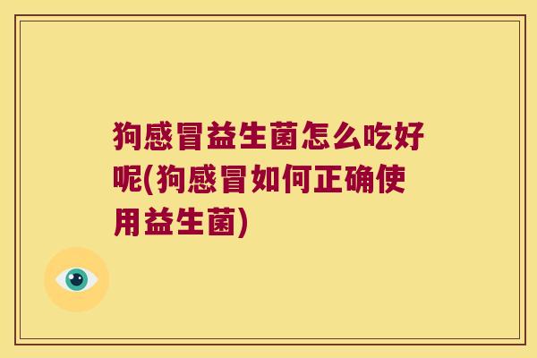 狗感冒益生菌怎么吃好呢(狗感冒如何正确使用益生菌)