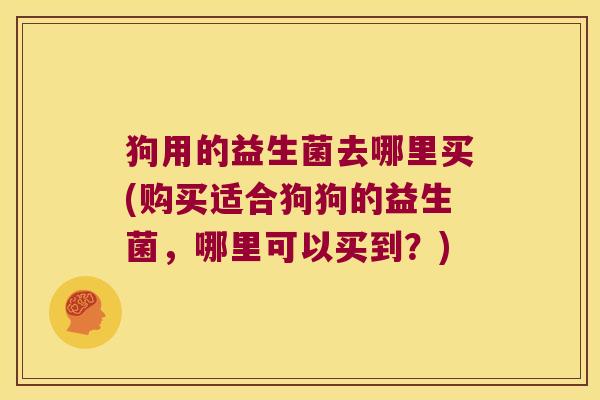狗用的益生菌去哪里买(购买适合狗狗的益生菌，哪里可以买到？)