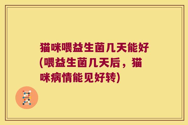 猫咪喂益生菌几天能好(喂益生菌几天后，猫咪病情能见好转)