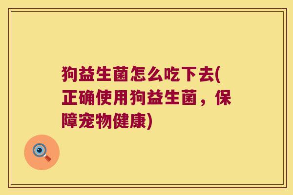 狗益生菌怎么吃下去(正确使用狗益生菌，保障宠物健康)