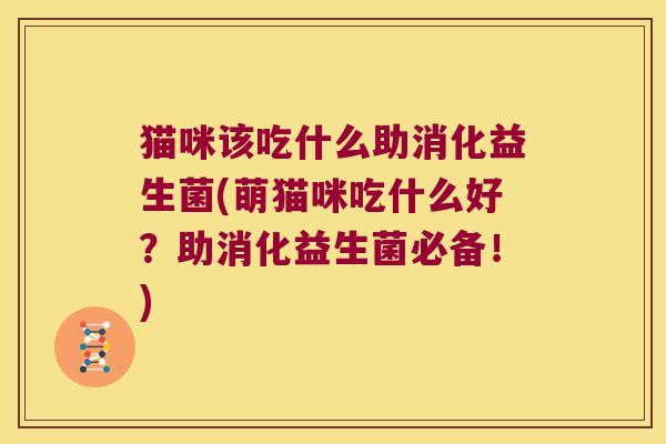 猫咪该吃什么助消化益生菌(萌猫咪吃什么好？助消化益生菌必备！)
