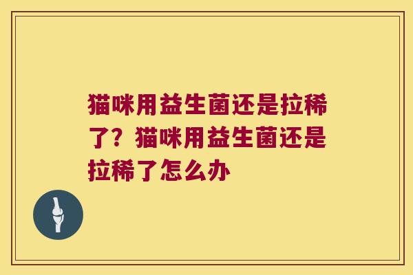 猫咪用益生菌还是拉稀了？猫咪用益生菌还是拉稀了怎么办