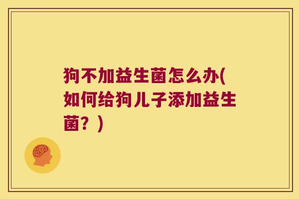 狗不加益生菌怎么办(如何给狗儿子添加益生菌?) 狗不加益生菌怎么办(如何给狗儿子添加益生菌?)