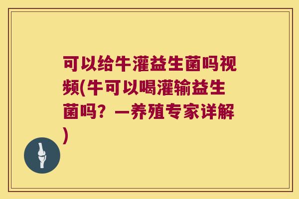 可以给牛灌益生菌吗视频(牛可以喝灌输益生菌吗？—养殖专家详解)