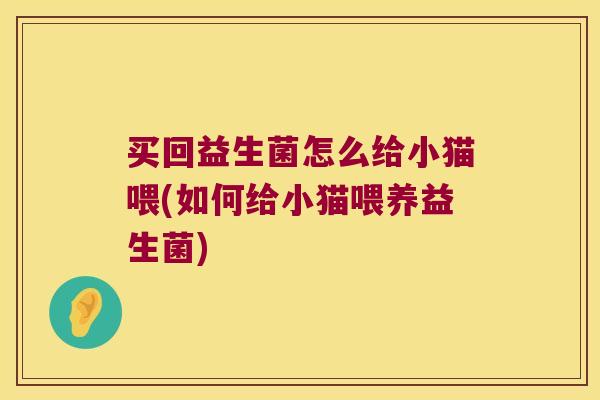 买回益生菌怎么给小猫喂(如何给小猫喂养益生菌)