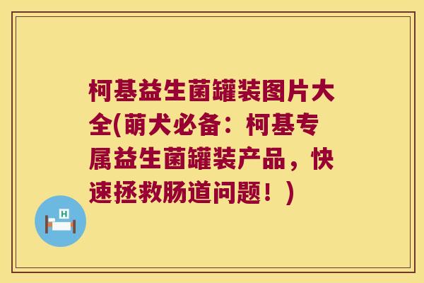 柯基益生菌罐装图片大全(萌犬必备：柯基专属益生菌罐装产品，快速拯救肠道问题！)