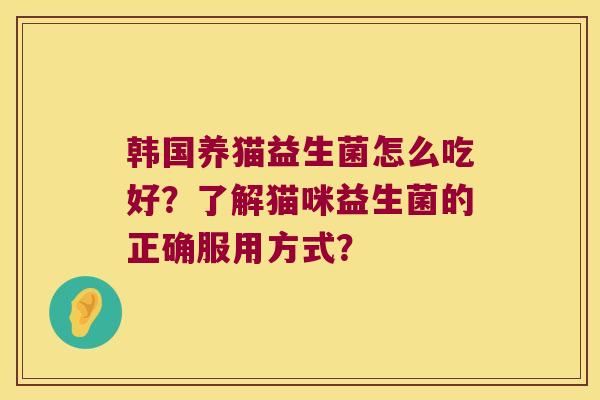 韩国养猫益生菌怎么吃好？了解猫咪益生菌的正确服用方式？