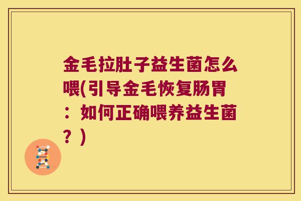 金毛拉肚子益生菌怎么喂(引导金毛恢复肠胃：如何正确喂养益生菌？)