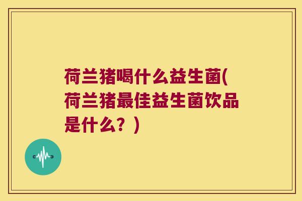 荷兰猪喝什么益生菌(荷兰猪最佳益生菌饮品是什么？)