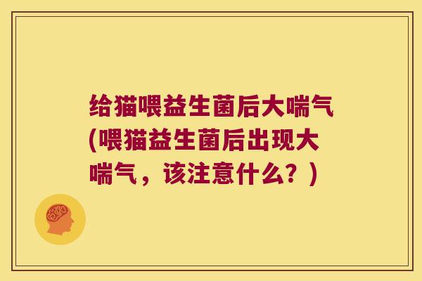 给猫喂益生菌后大喘气(喂猫益生菌后出现大喘气，该注意什么？)