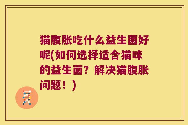 猫吃什么益生菌好呢(如何选择适合猫咪的益生菌？解决猫问题！)