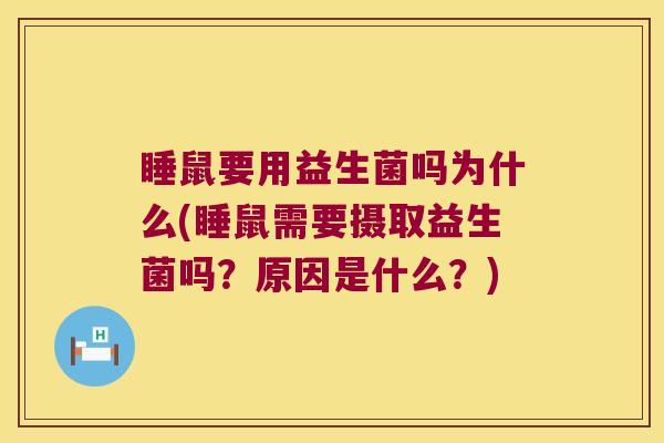 睡鼠要用益生菌吗为什么(睡鼠需要摄取益生菌吗？原因是什么？)